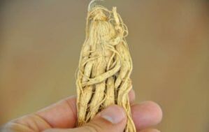 herbs for penis enlargement